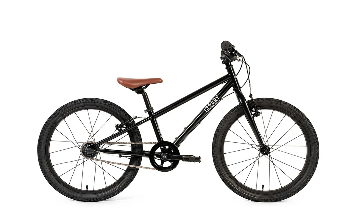 Cleary Owl 20" 3-Speed